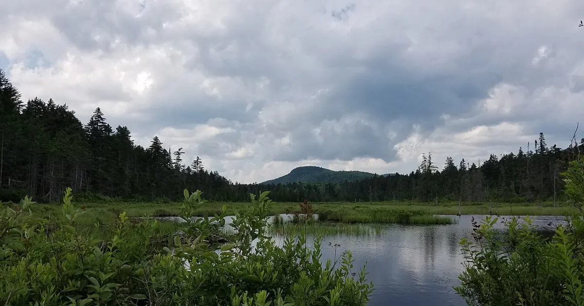 Owl's Head Mountain