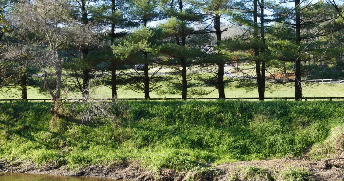 Big Gunpowder Falls Trail