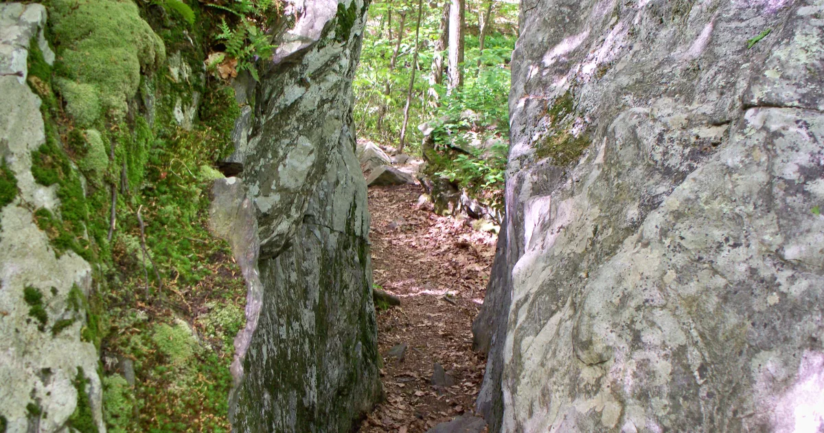 Lemon Squeezer Trail
