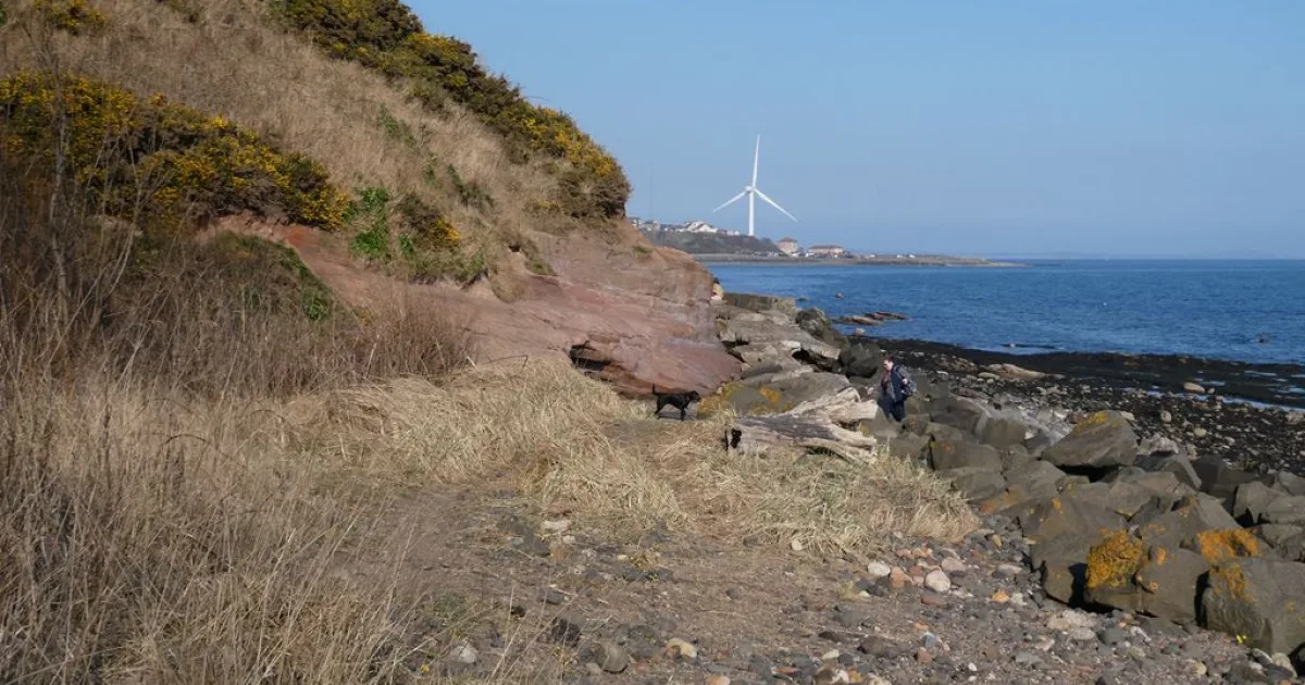 East Shoreline Trail