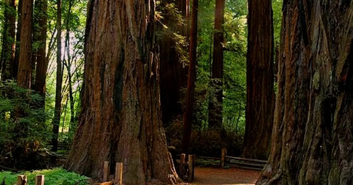 Pipeline Road Trail