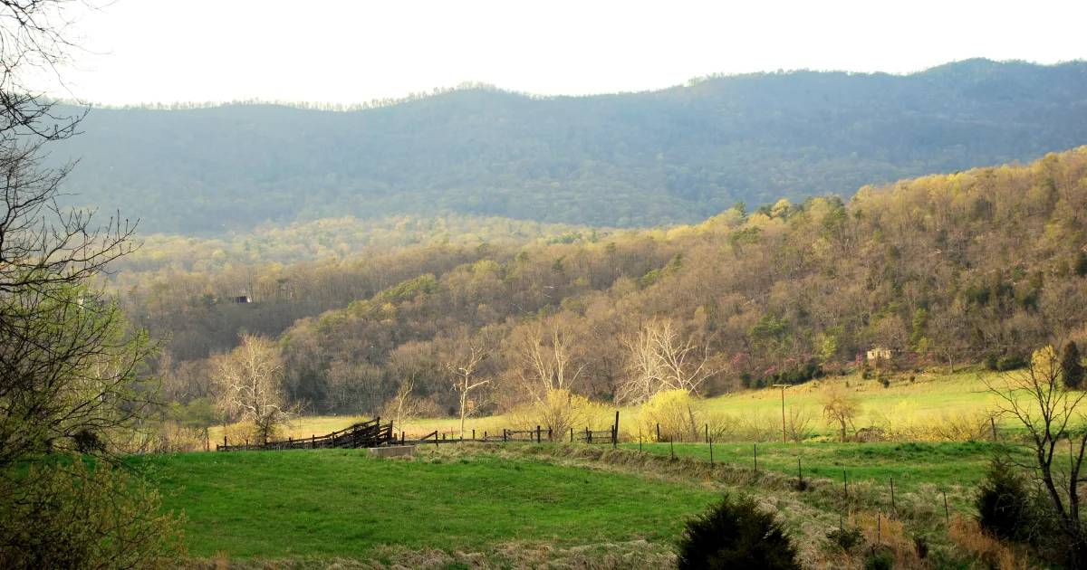 Big Oak Trail