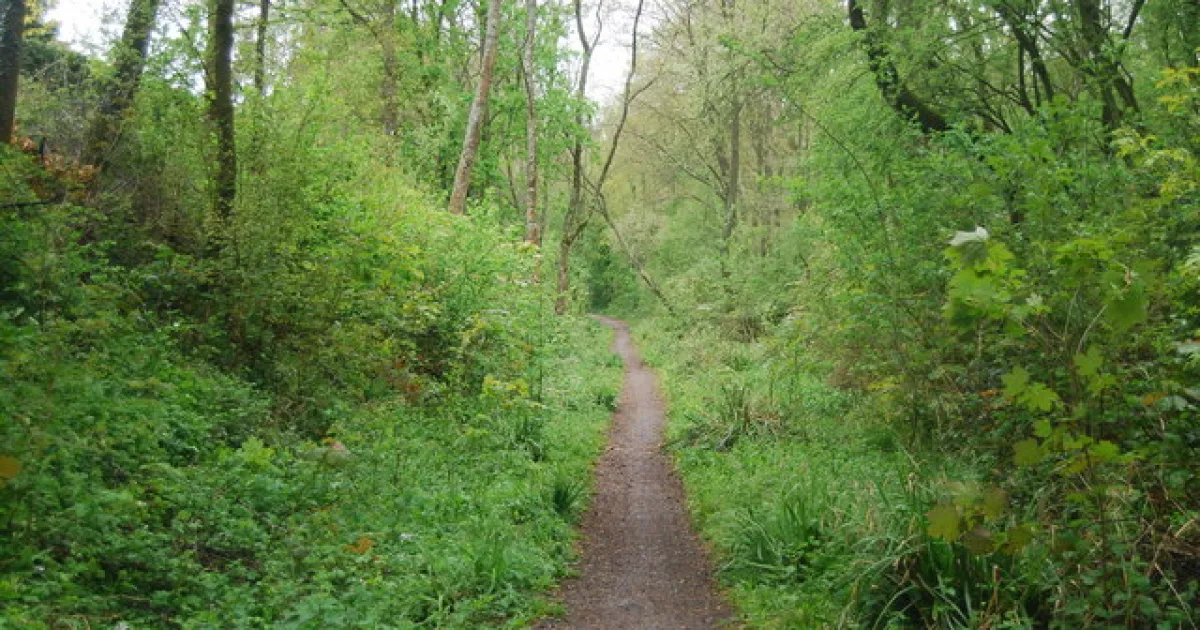 Baynard Trail
