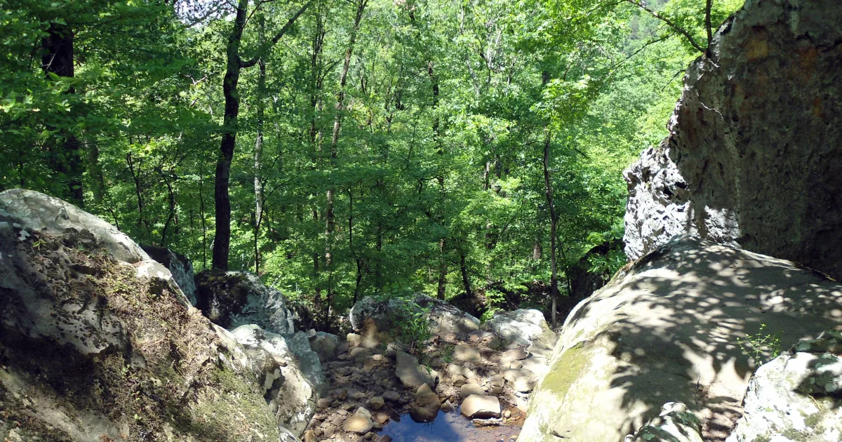 Cedar Falls Trail