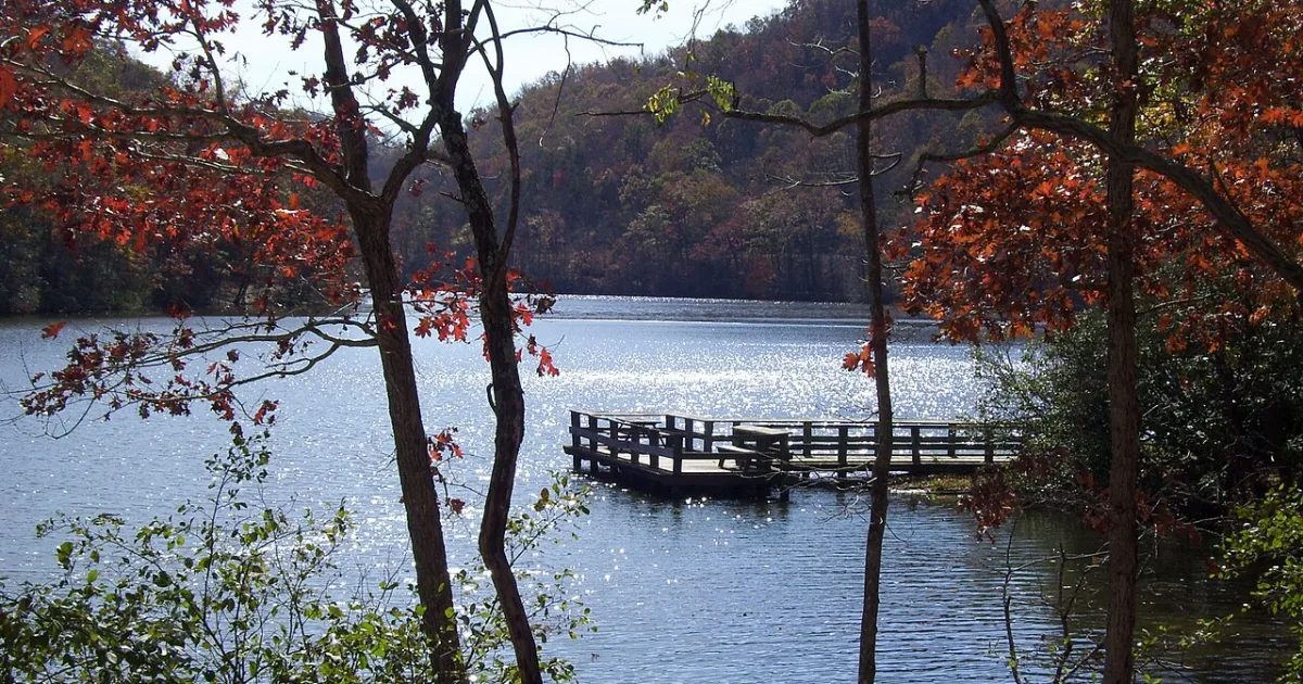 Molly's Knob Trail