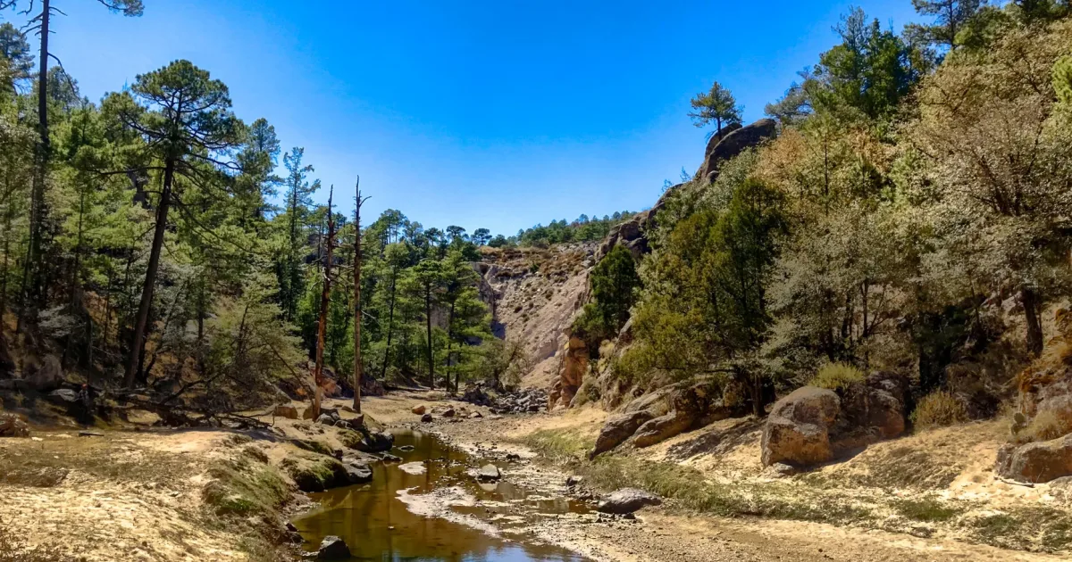 Tesuque Creek Trail