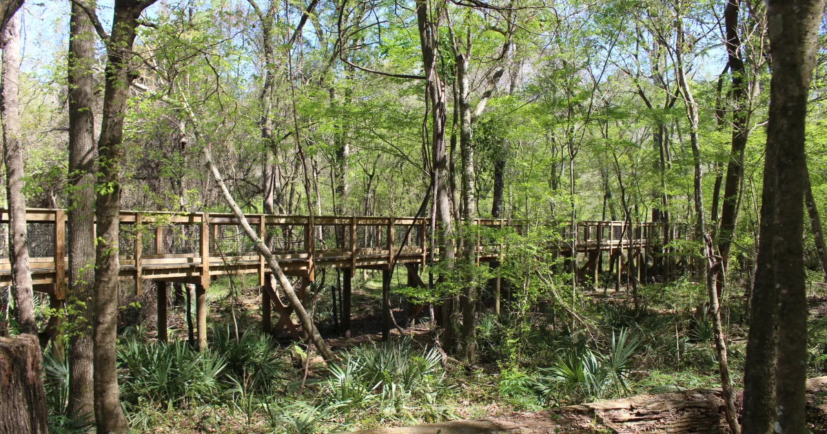 Blue Hole Spring Trail