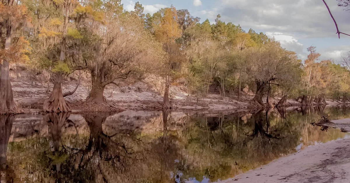 Suwannee River Trail