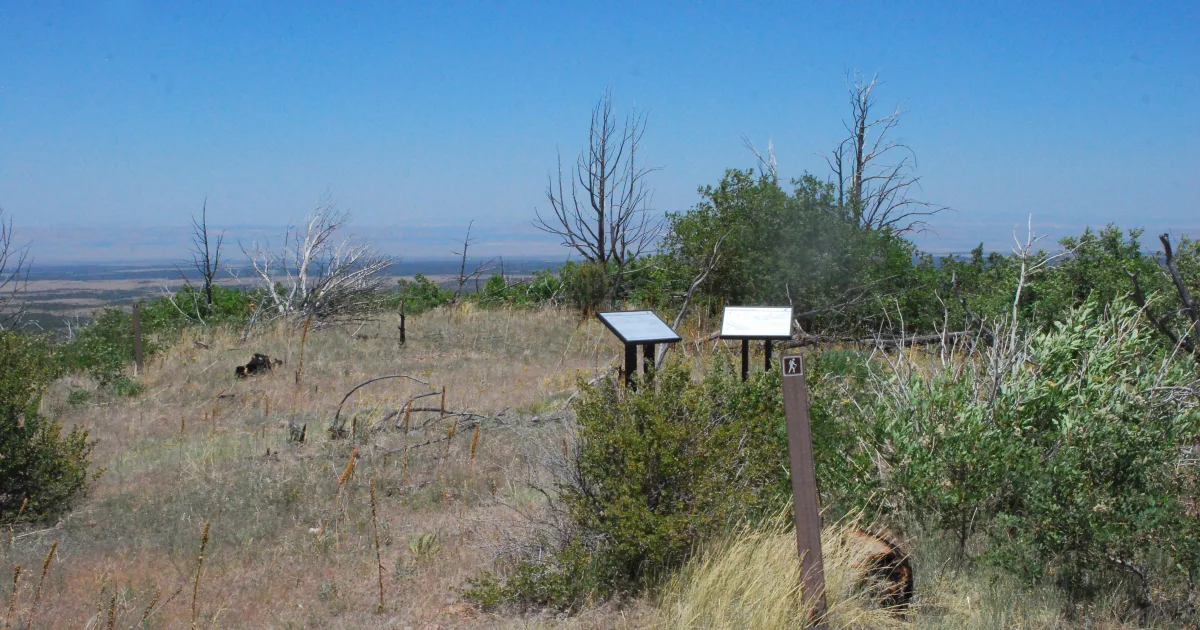 Brower Trail