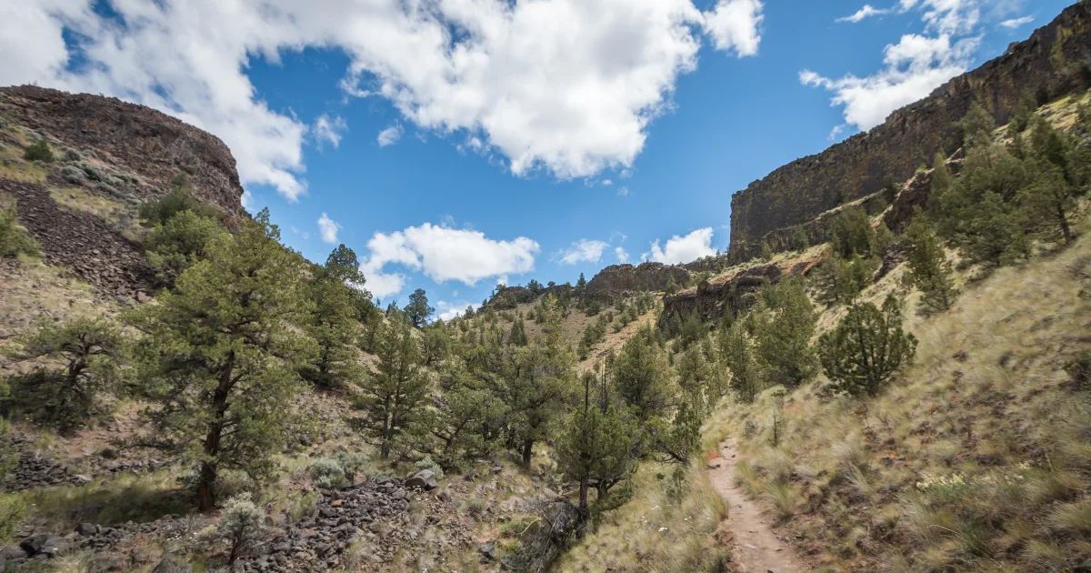 Wilderness Drive and Bog Trail