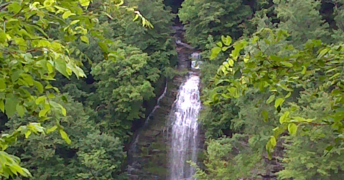 Genesee Falls Loop
