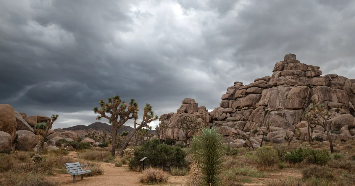 Cap Rock Nature Trail