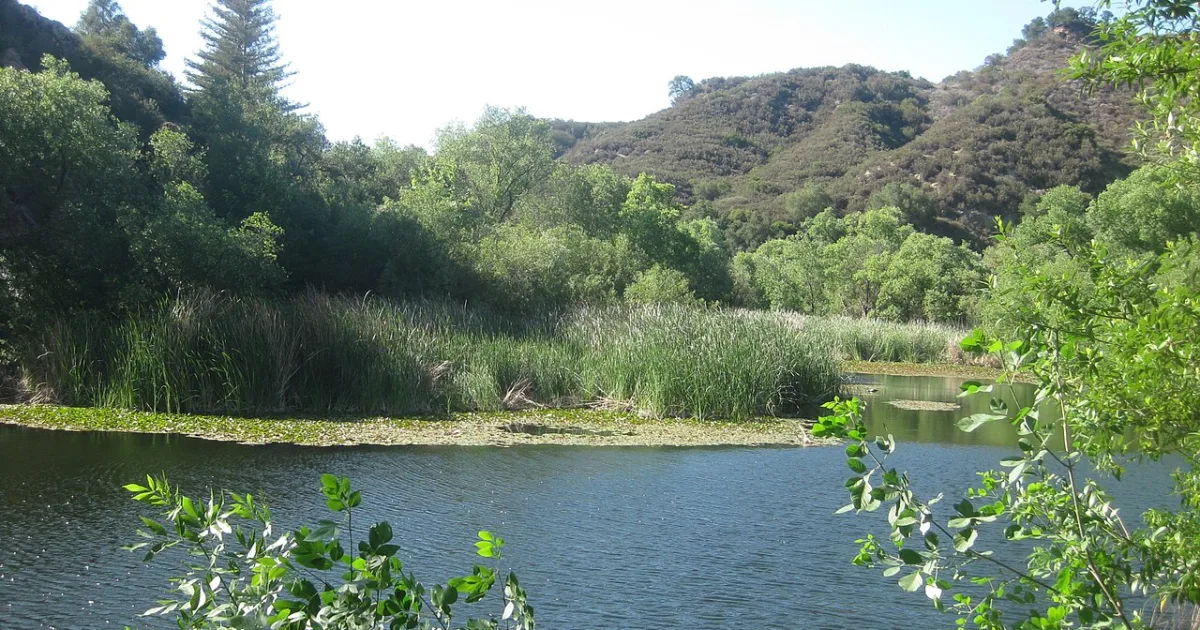 Century Lake Trail