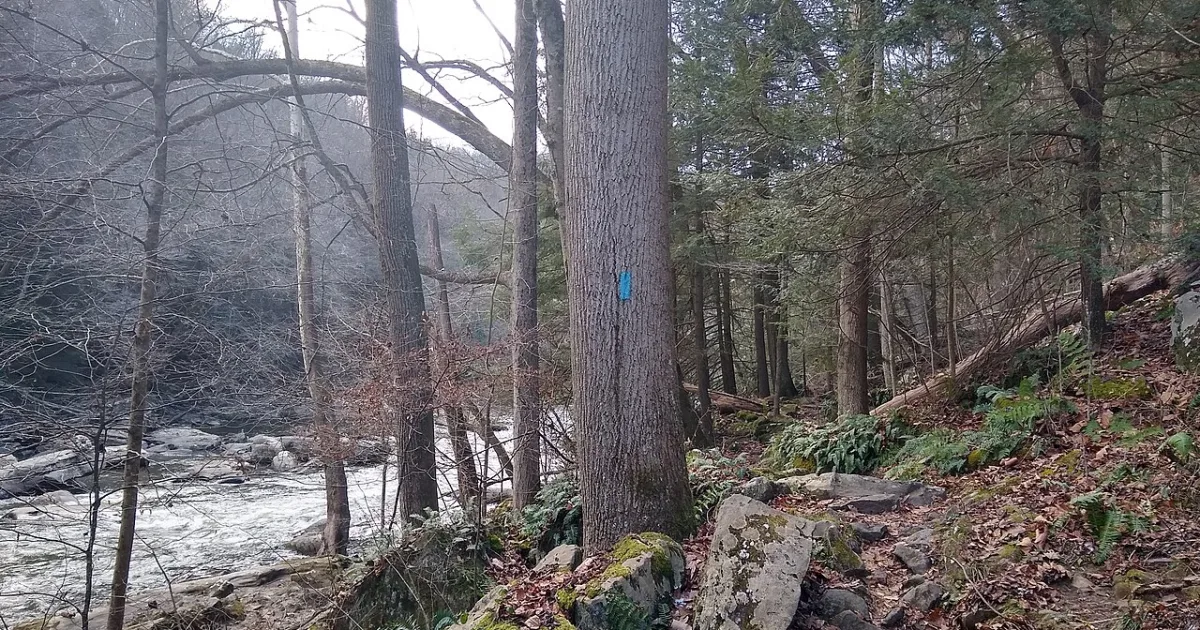 Slippery Rock Gorge Trail