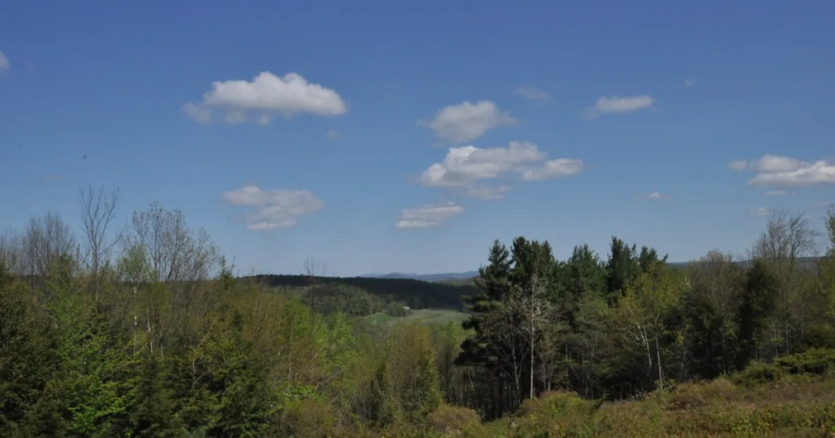 Bear Swamp Trail