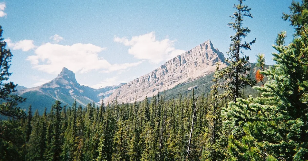Wilderness Trail