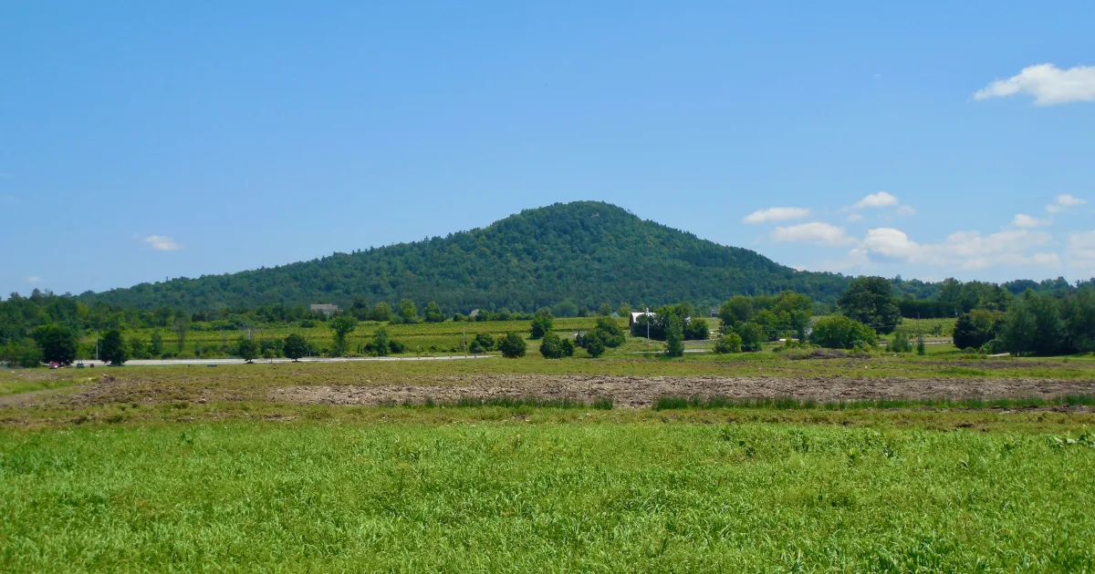 Mount Philo Trail