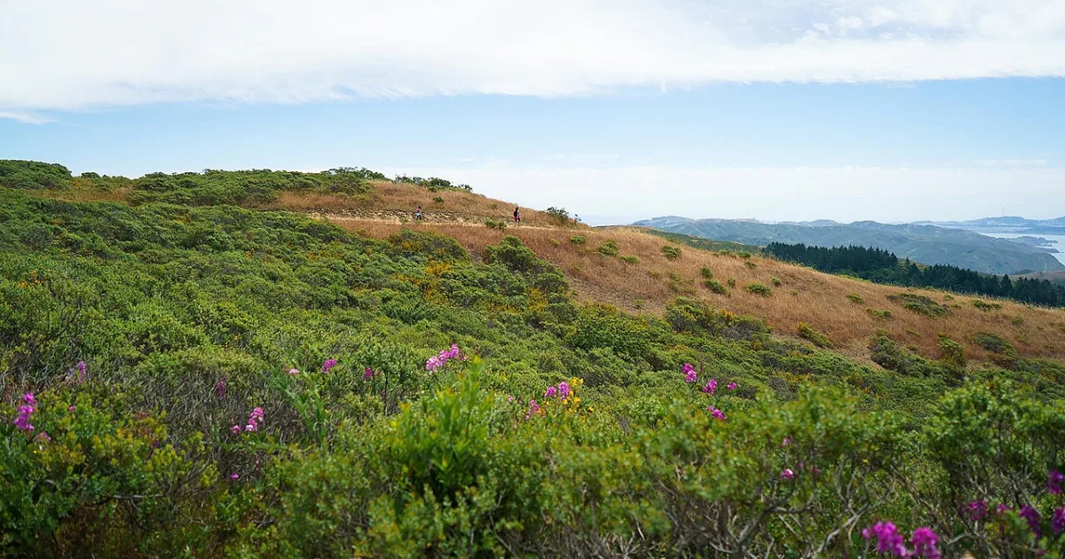 Matt Davis Trail