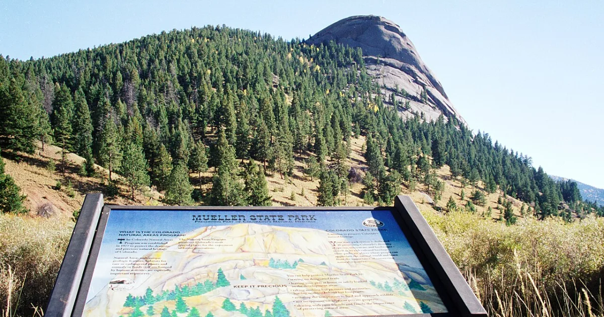Cheesman Ranch Trail