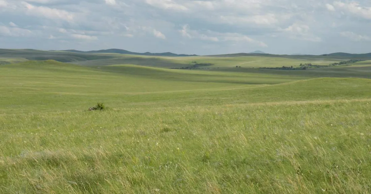 Grassland Walk