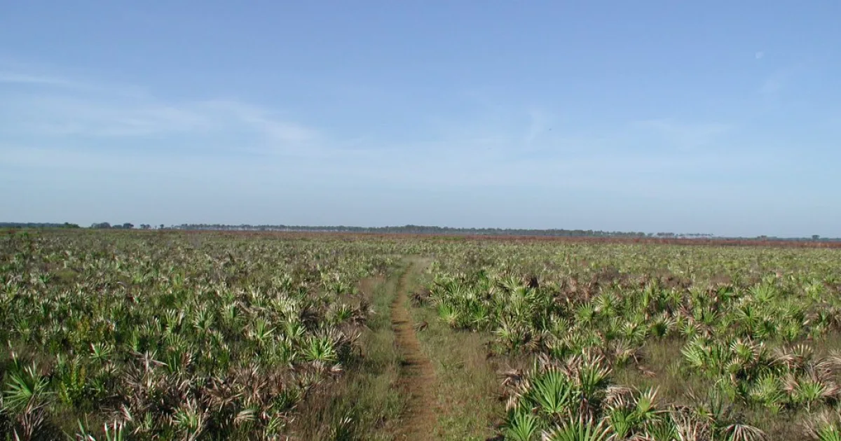 Myakka Prairie Trail