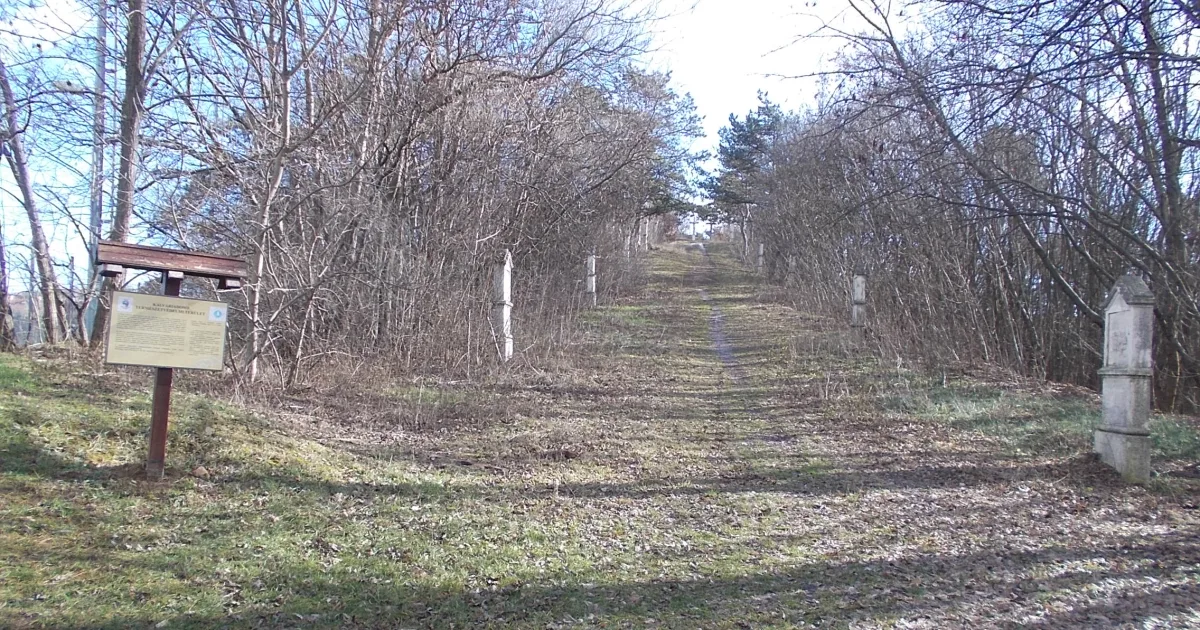 Sculptured Oak Nature Trail