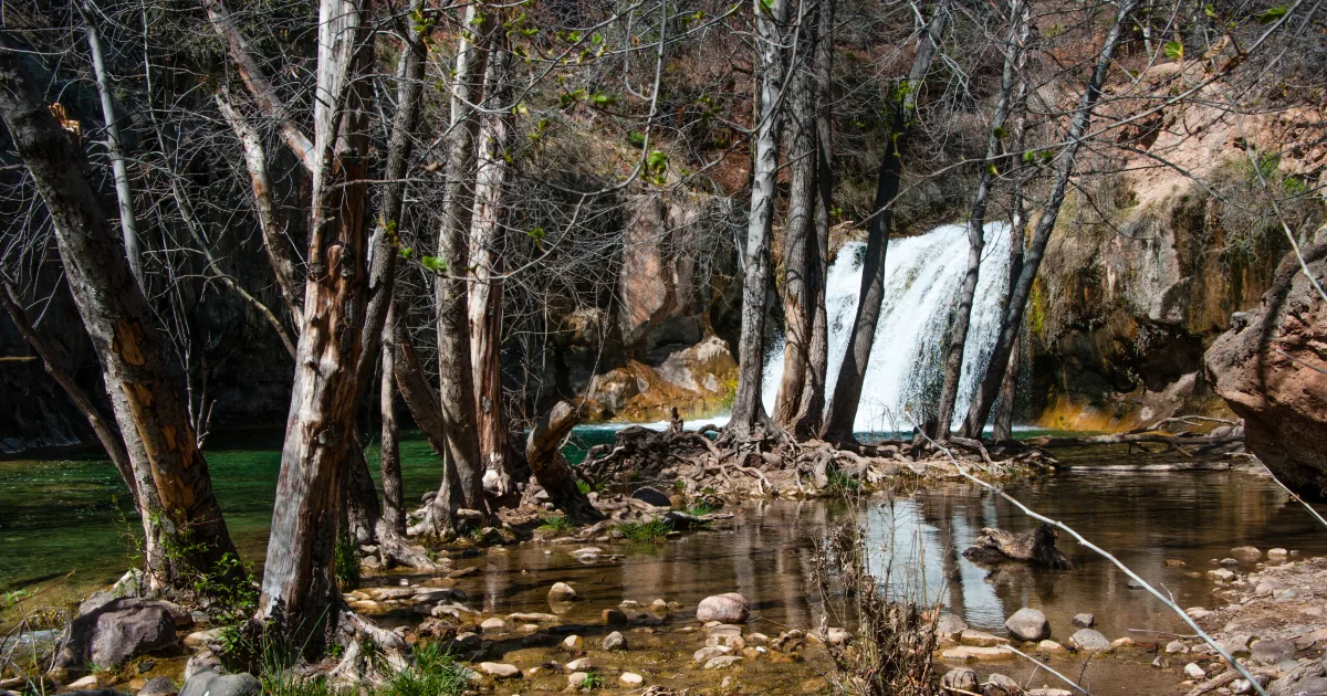 Creek Bottom Trail
