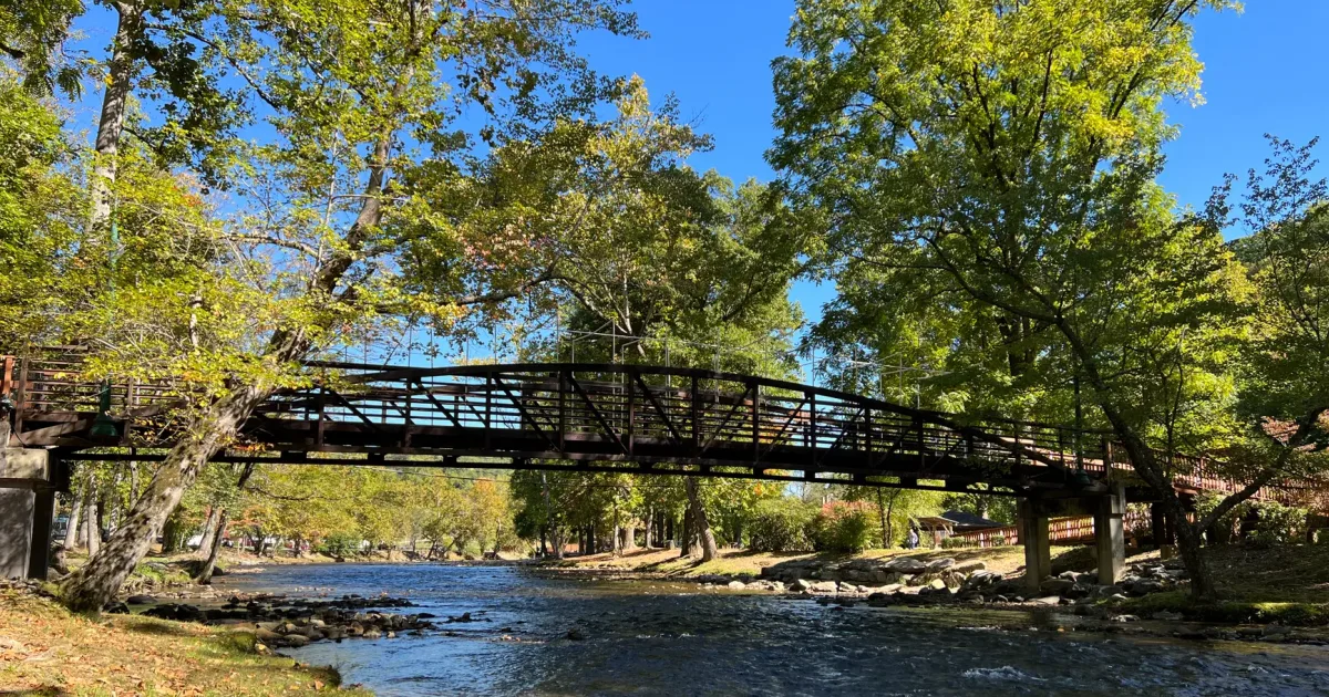 Alleghany River Access