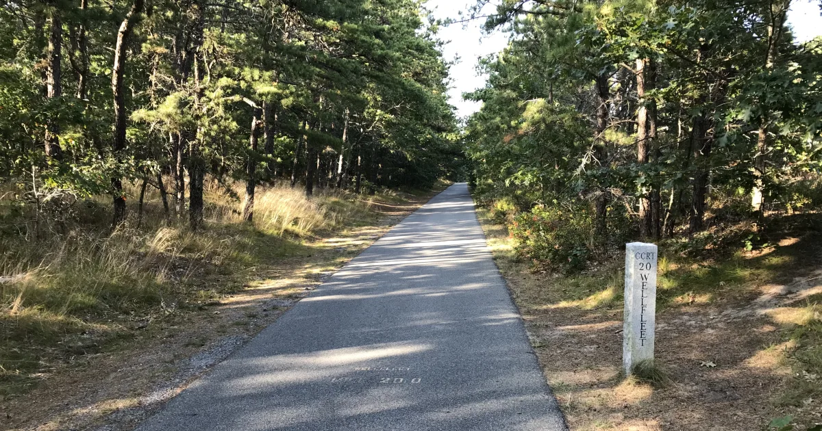 Cape Cod Rail Trail Section