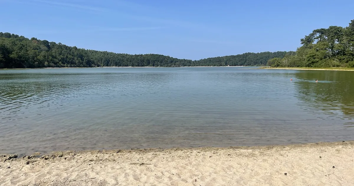 Cliff Pond Loop