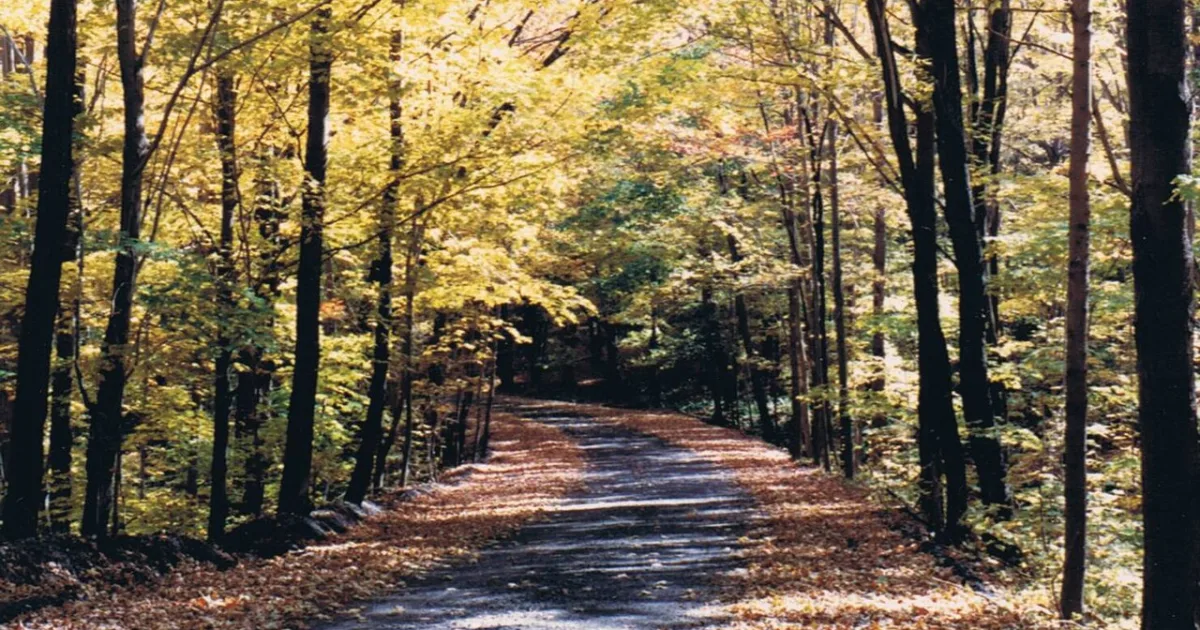 Laurel Highlands Trail - Section