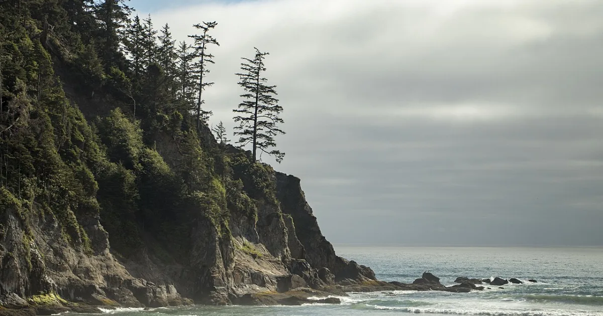 Cape Falcon Trail