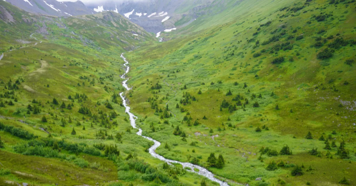 Palmer Creek Trail