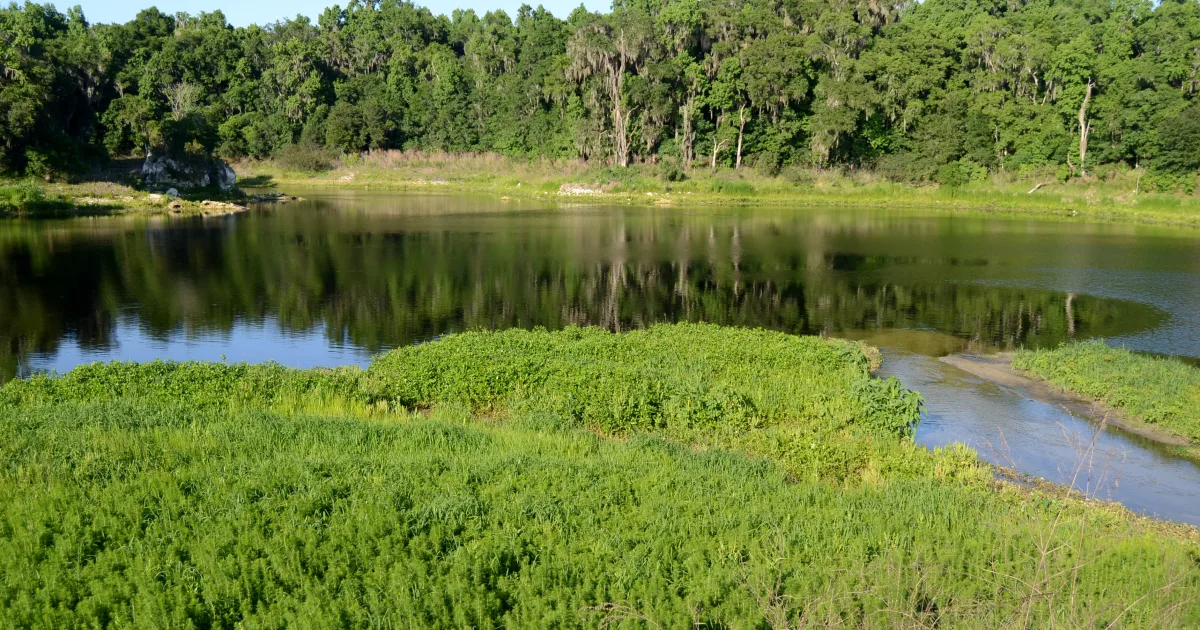 La Chua Trail