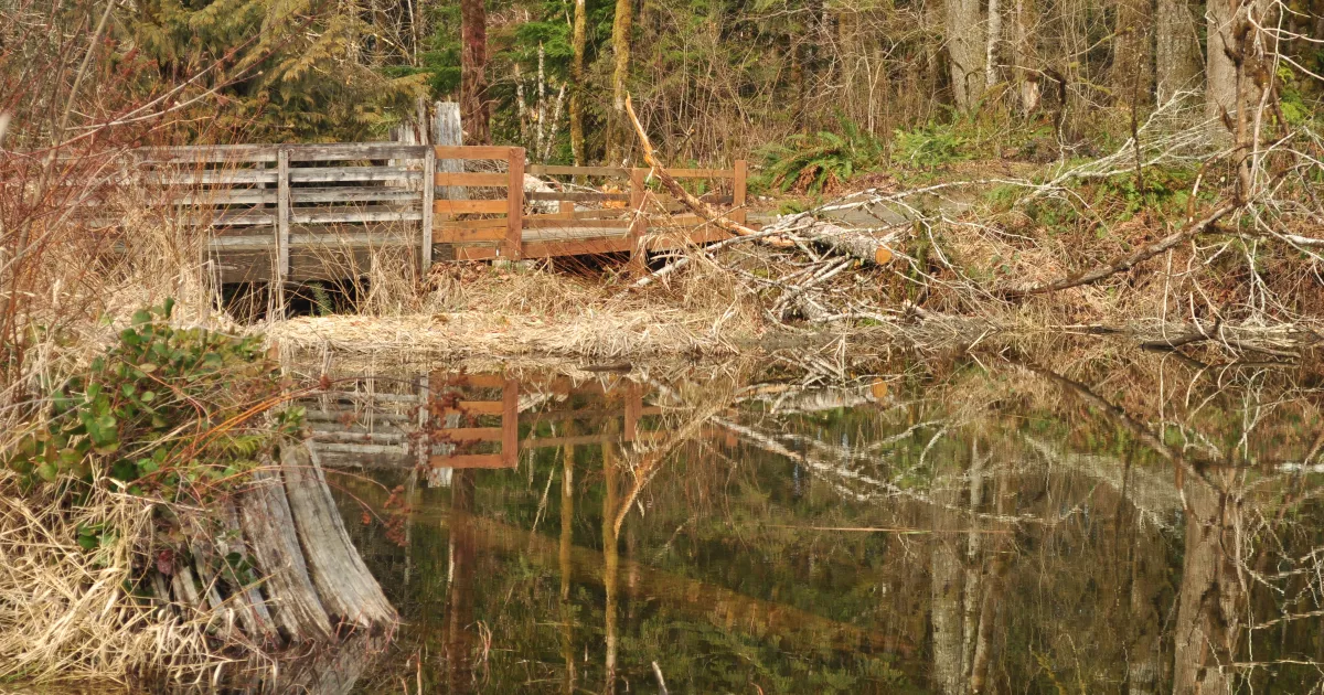 Beaver Dam Trail