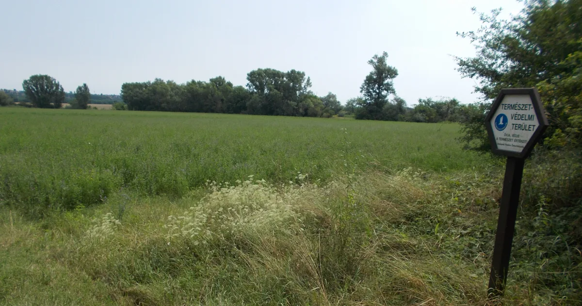 Meadow Marsh Loop