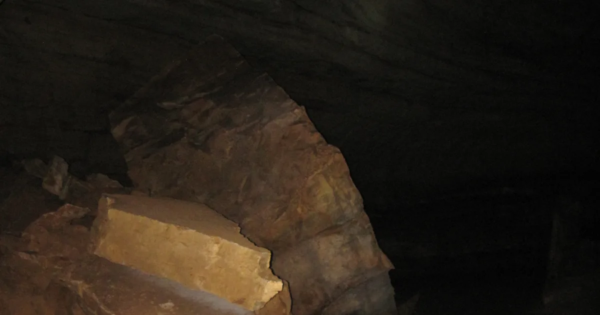 Canyon Floor Exploration