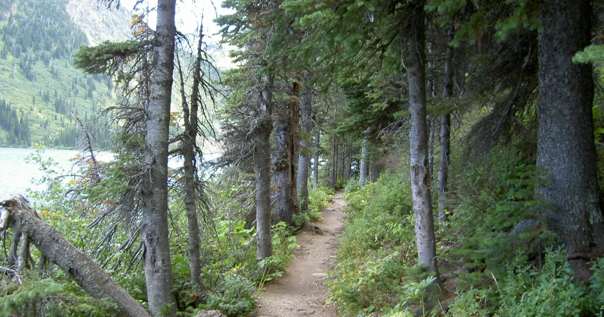 Lakeshore Trail