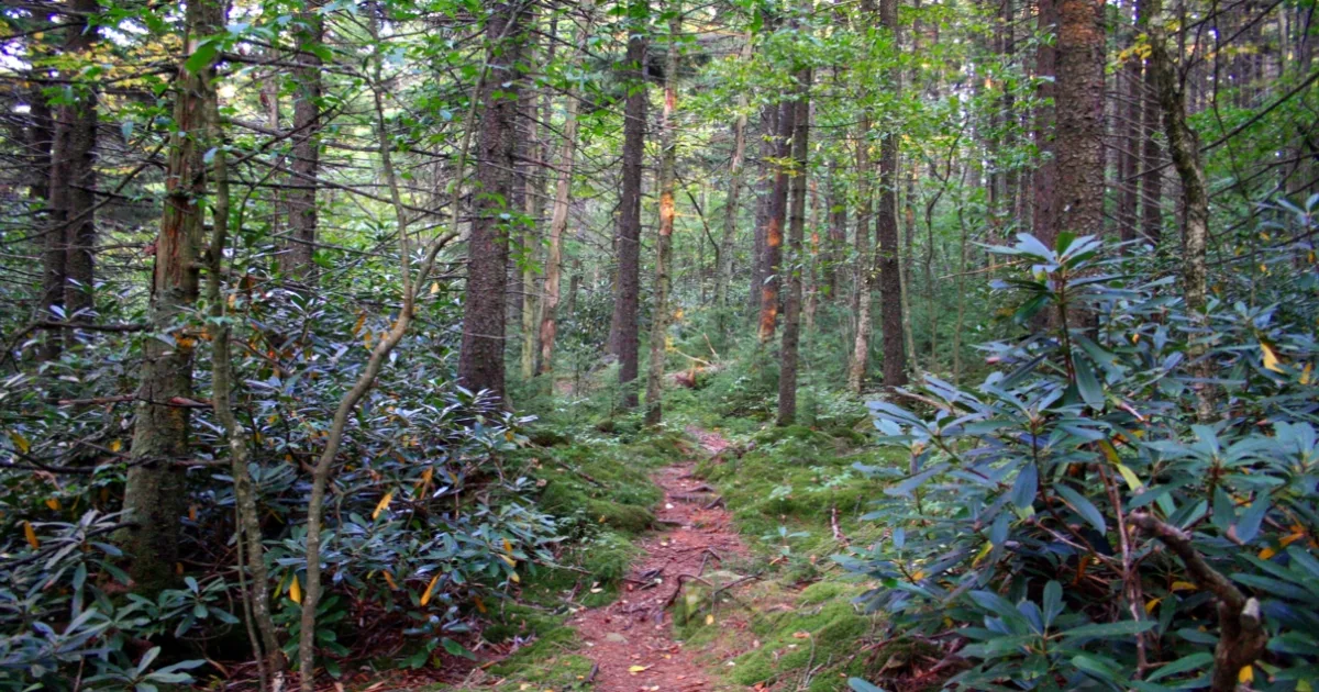 Highland Trail