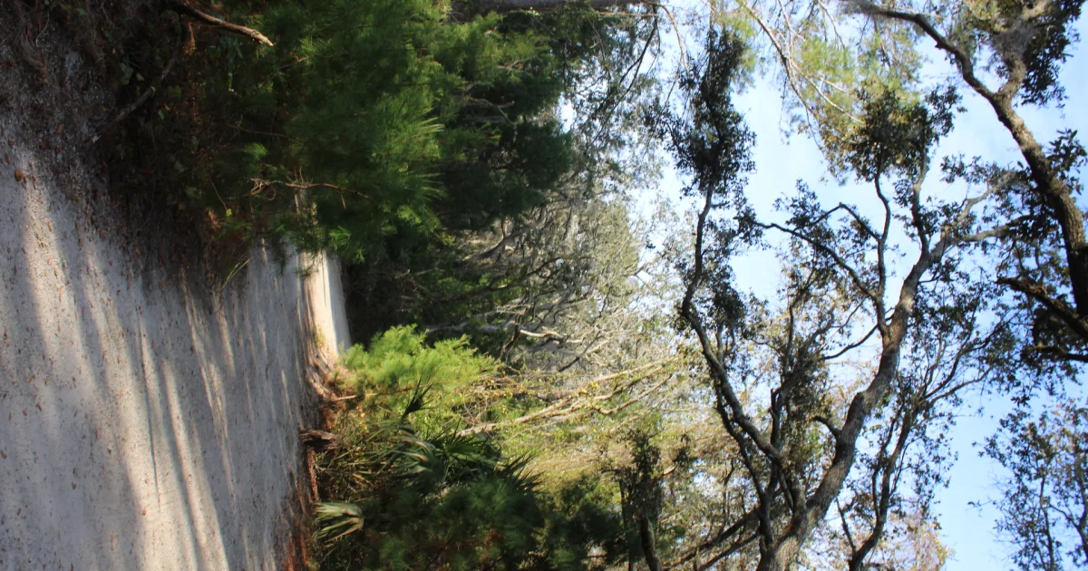 Springs Trail