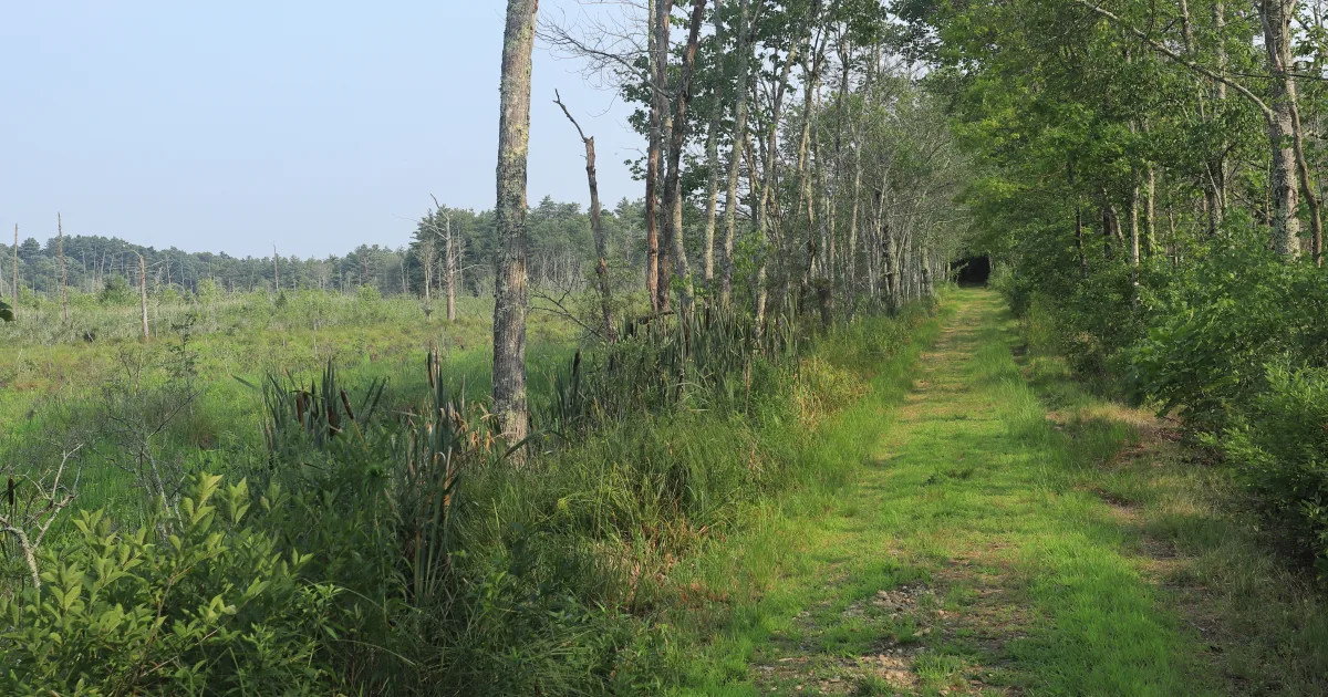 North Trail Loop