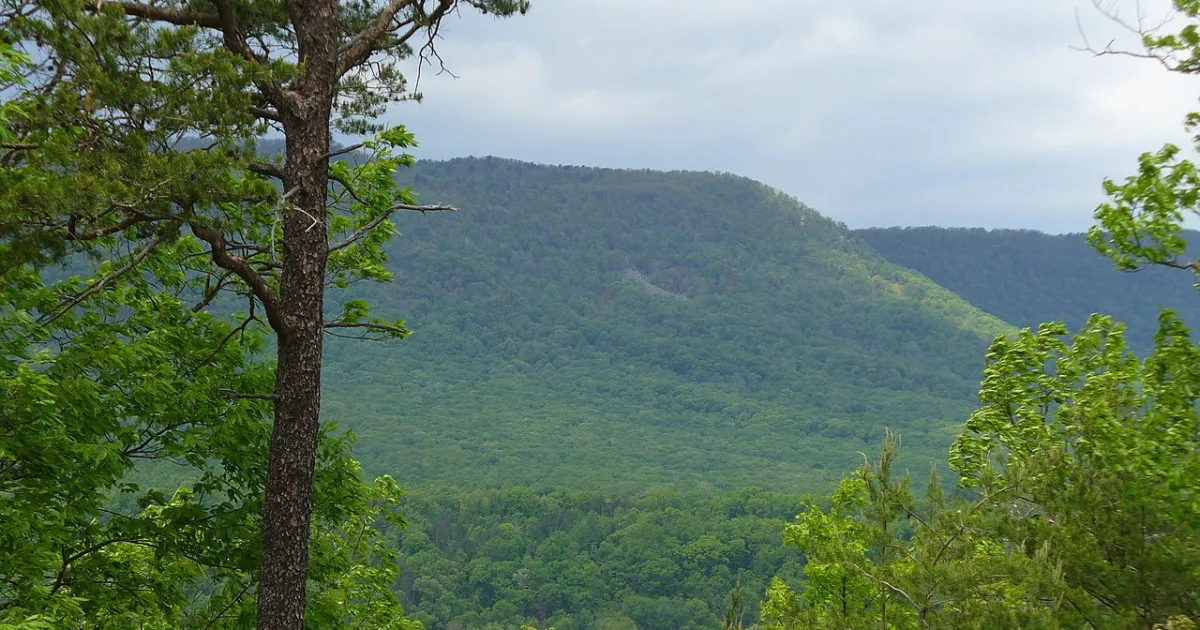 Ridgetop Trail