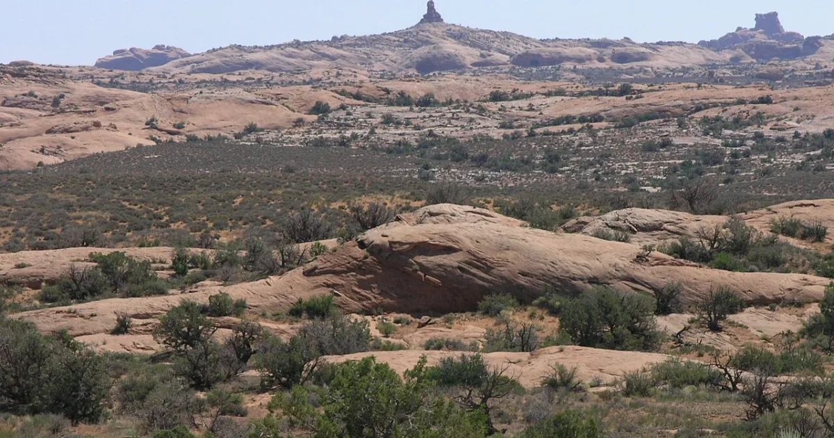 Petrified Dunes Trail