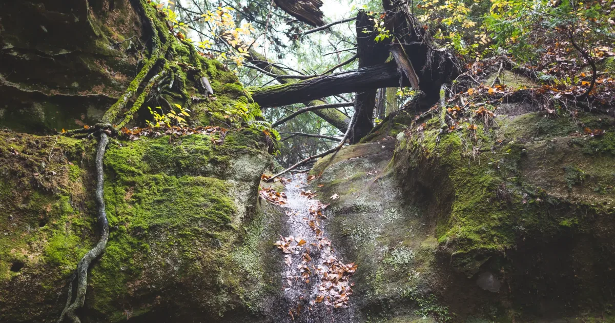 Starved Rock Summit Trail