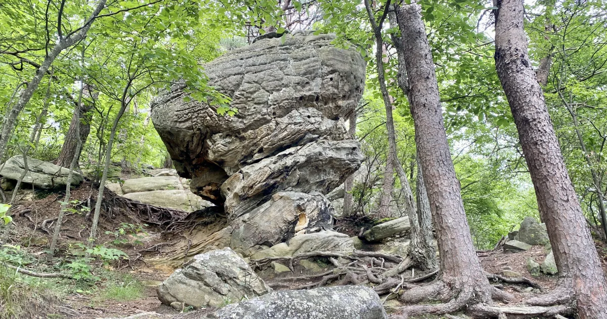 Pinnacle Mountain Trail