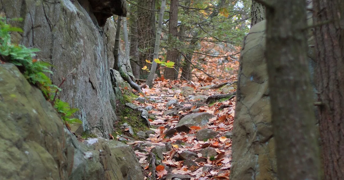 Metacomet Trail