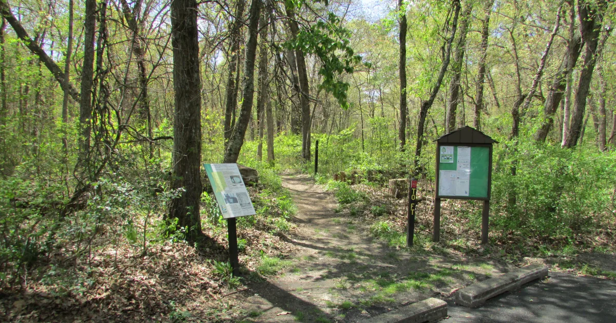 Tower Trail