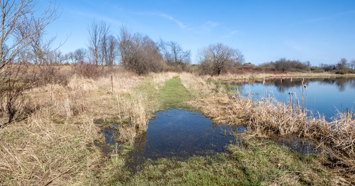 Wetlands Nature Trail