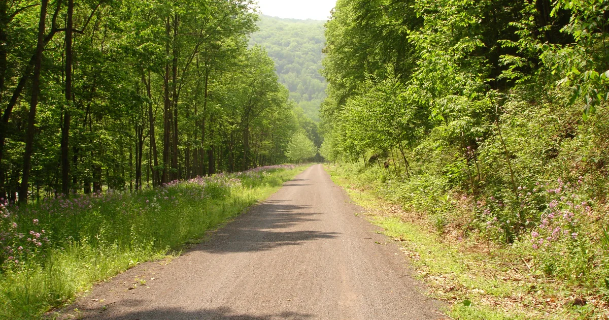 Pine Creek Trail