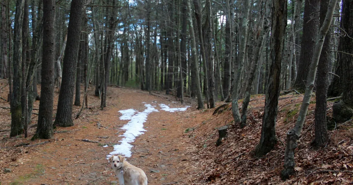 Trail 9 Rocky Hollow